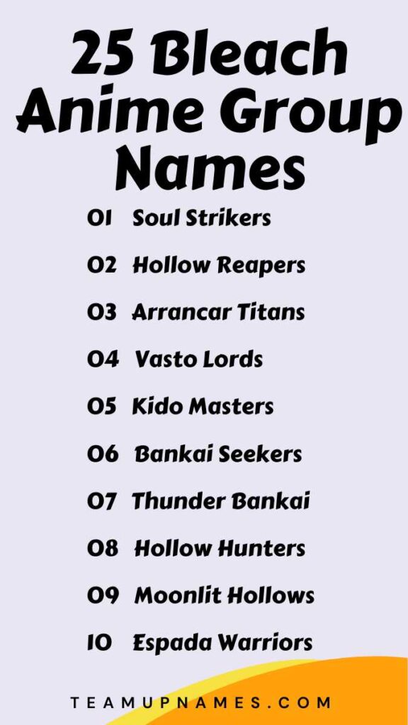 Bleach Anime Group Names