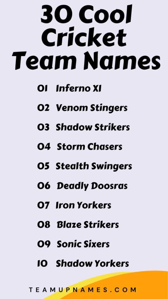 Cool Cricket Team Names